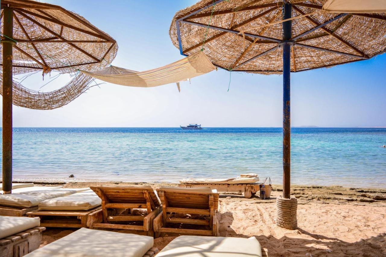 Dive Inn Resort Sharm el-Sheikh Luaran gambar